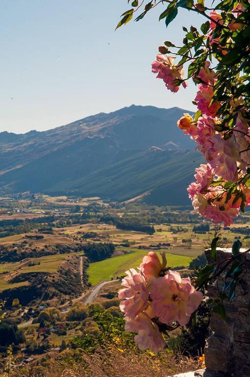 Creagh Cottage And Homestead アロータウン 部屋 写真